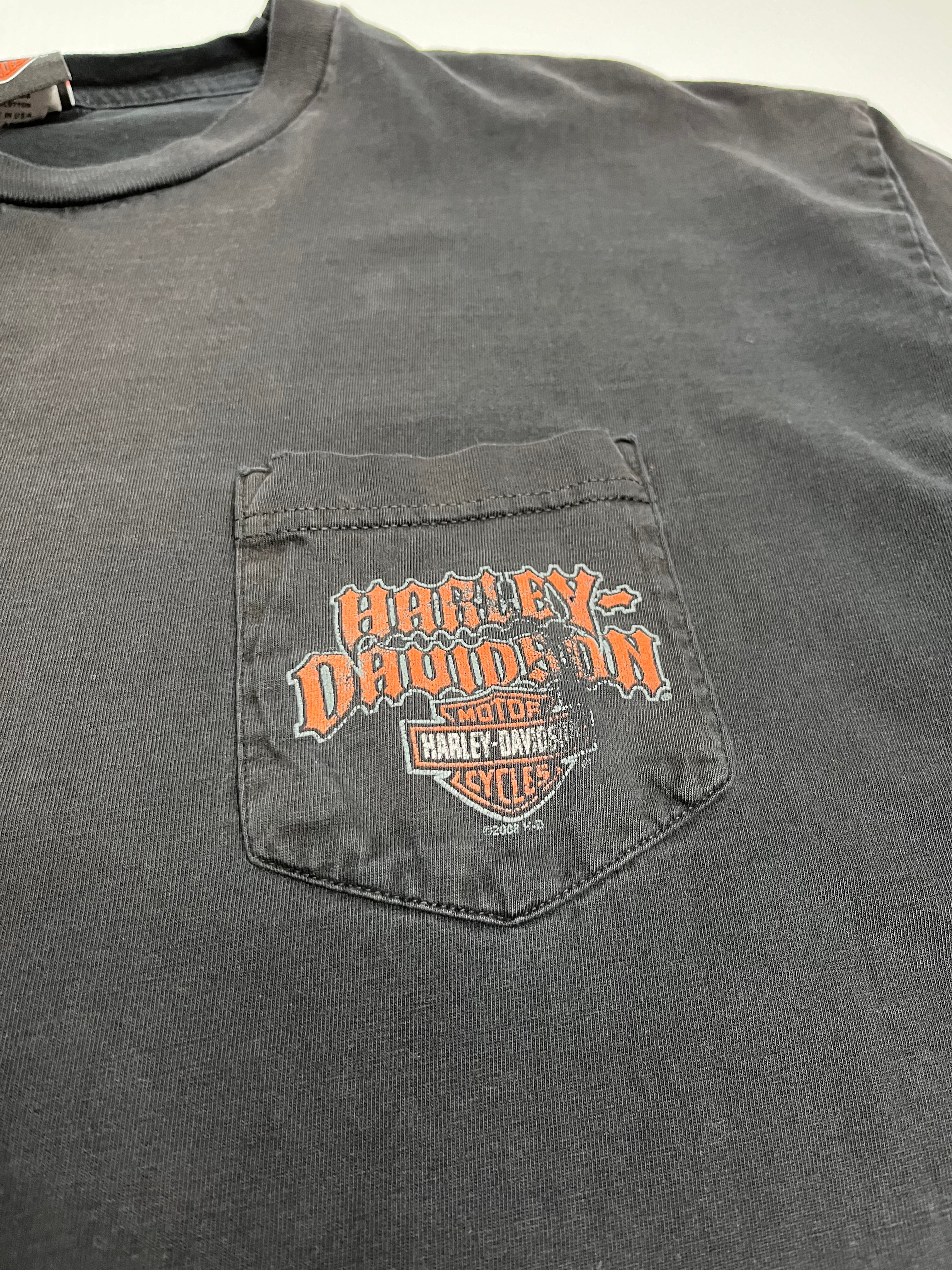 Harley Davidson Coziahr Decatur Tee 3XL
