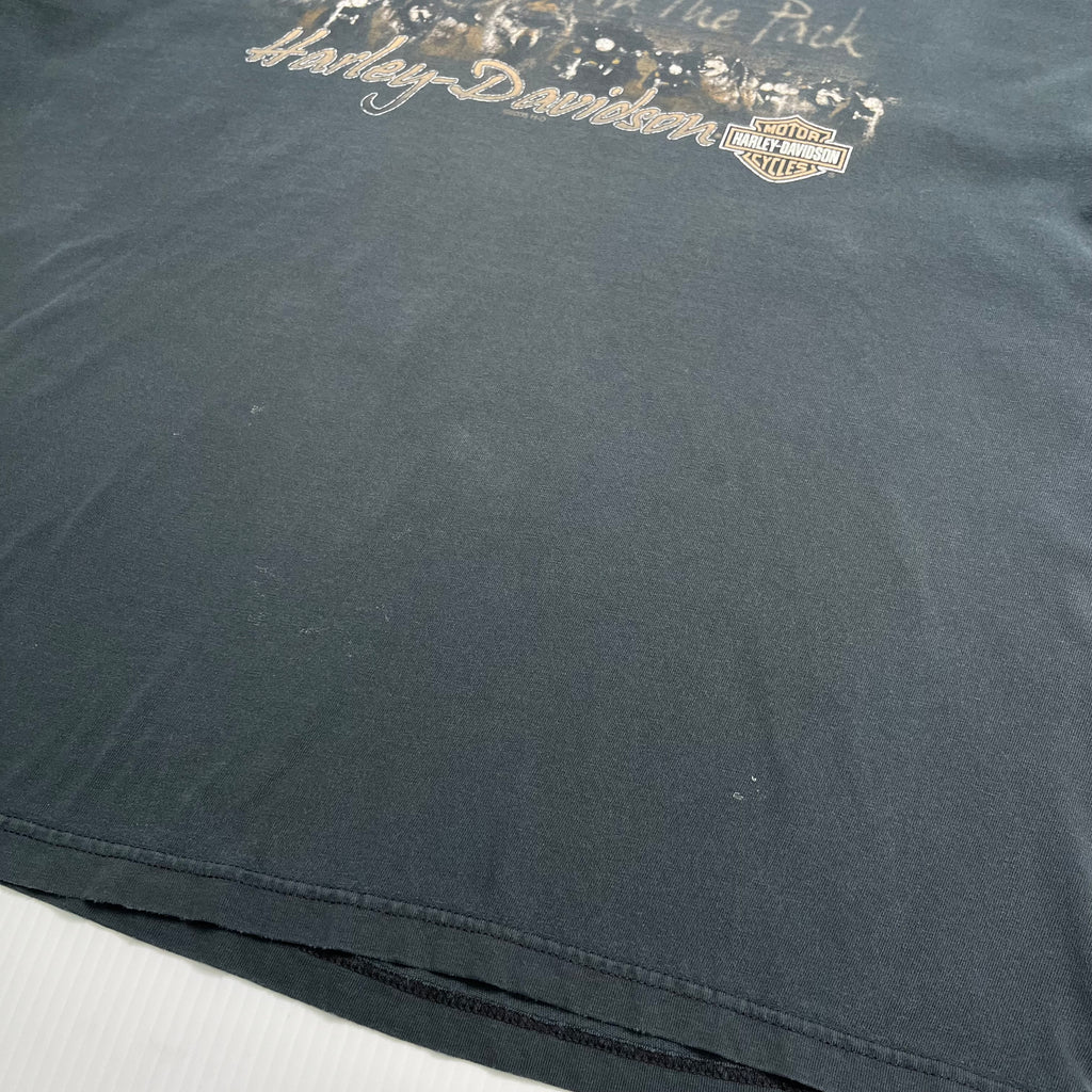 2005 Harley Davidson Chilkoot Alaska Tee L