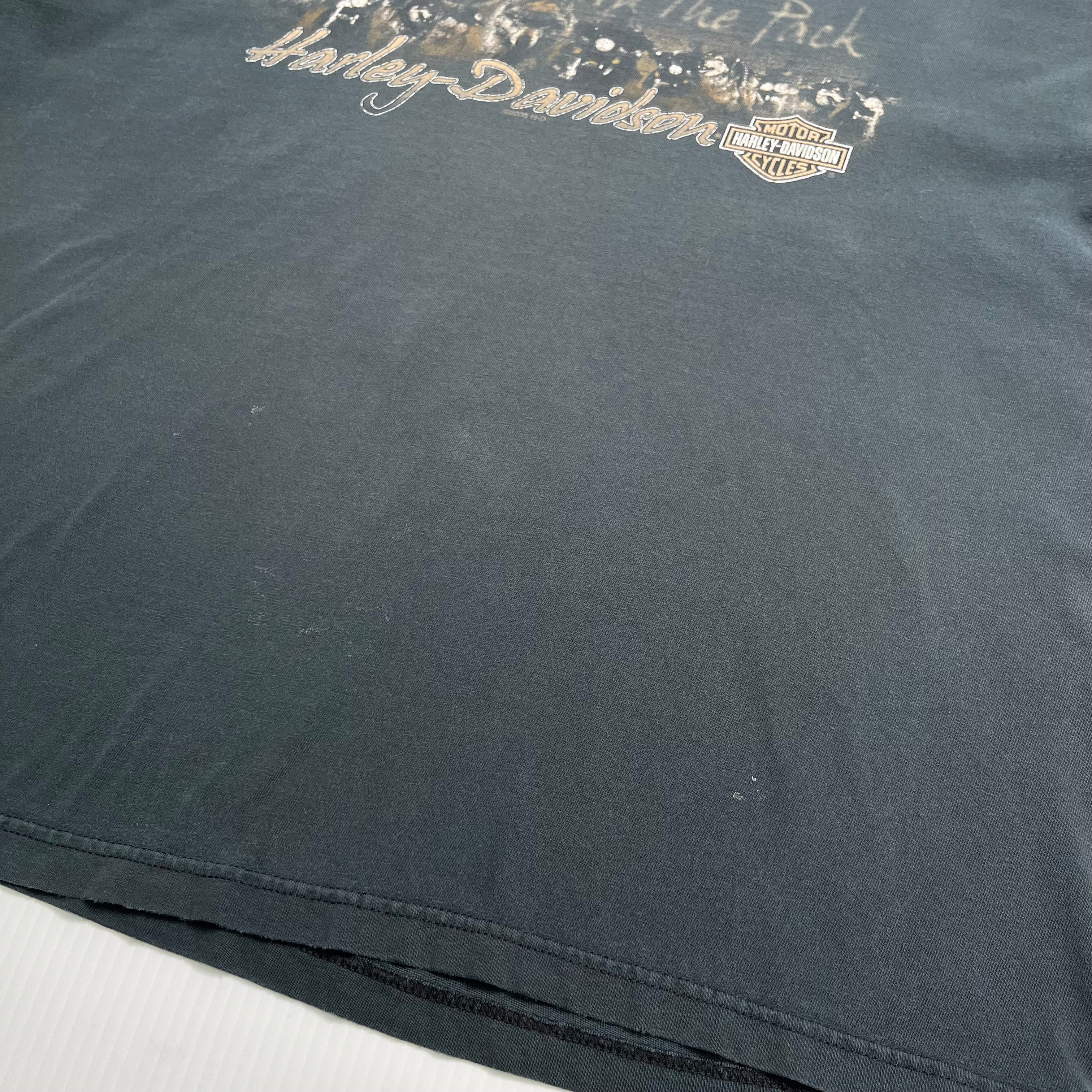 2005 Harley Davidson Chilkoot Alaska Tee L