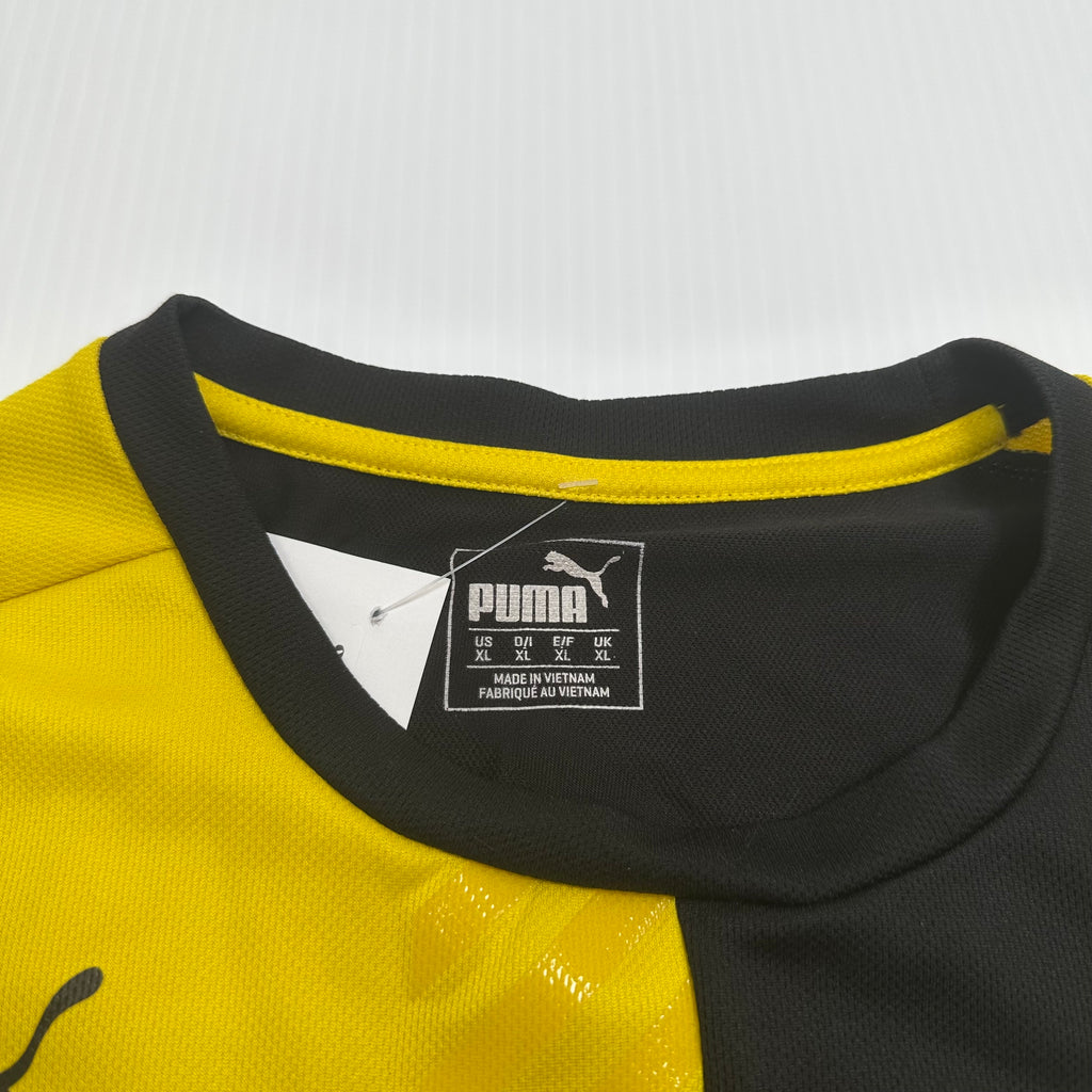 Puma Dortmund Training Kit XL