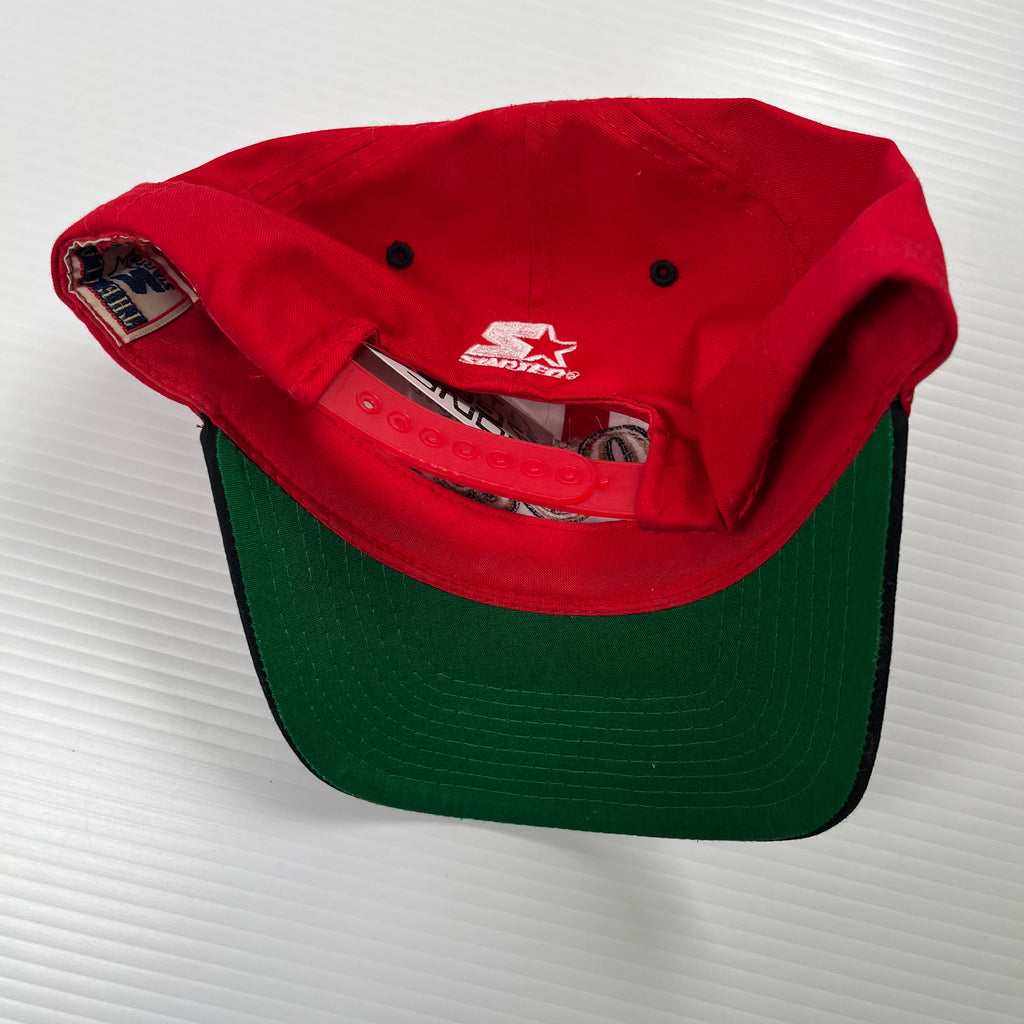 Vintage Starter San Francisco 49ers NFL Snapback Hat