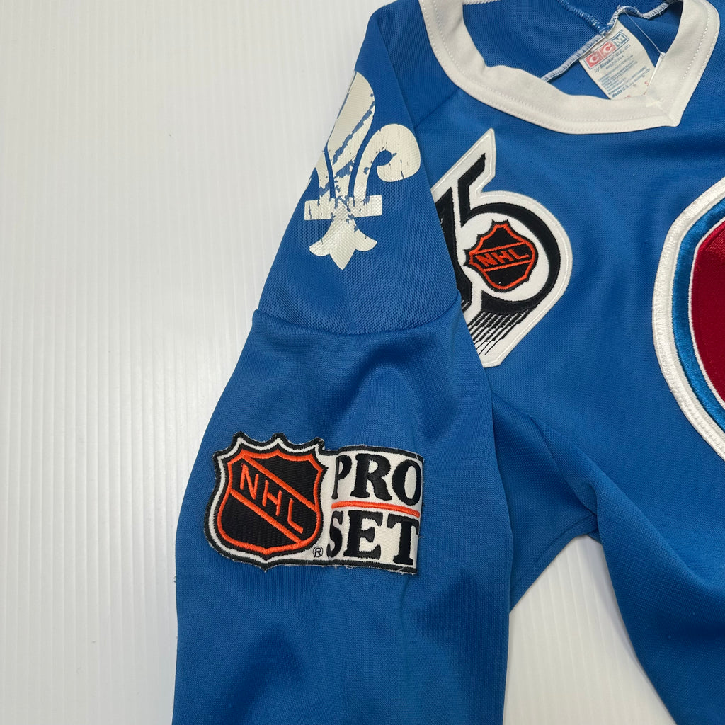 Vintage CCM Quebec Nordiques Pro Set NHL Hockey Jersey S