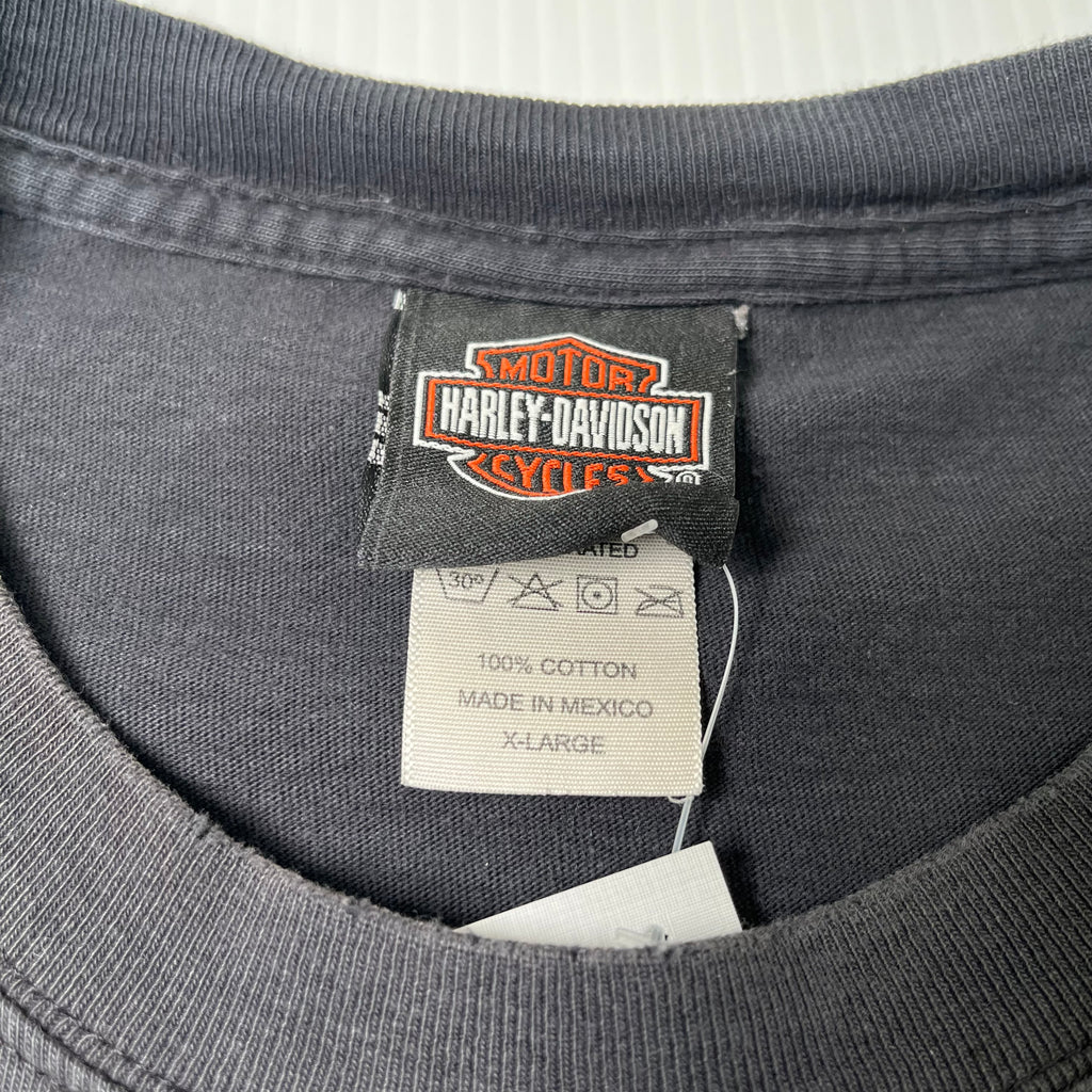 Vintage Harley Davison Northern Ireland Graphic Tee XL