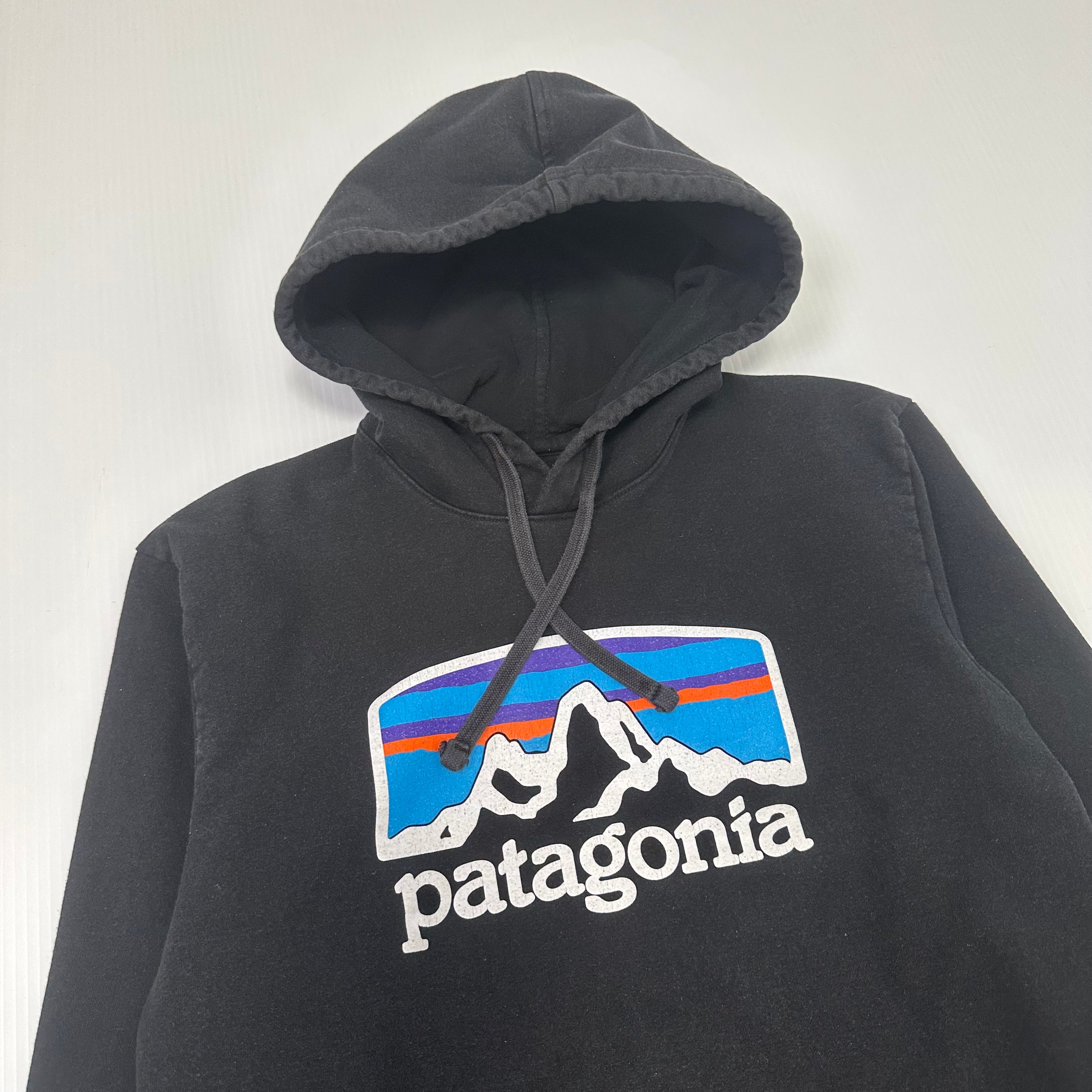 Patagonia Mountain Logo Hoodie S