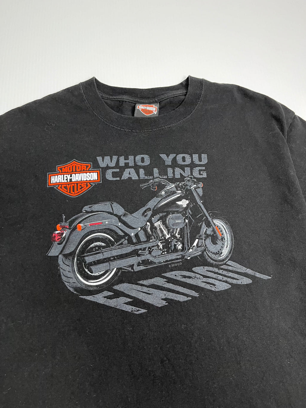 Harley Davidson Fatboy Barnes tee L