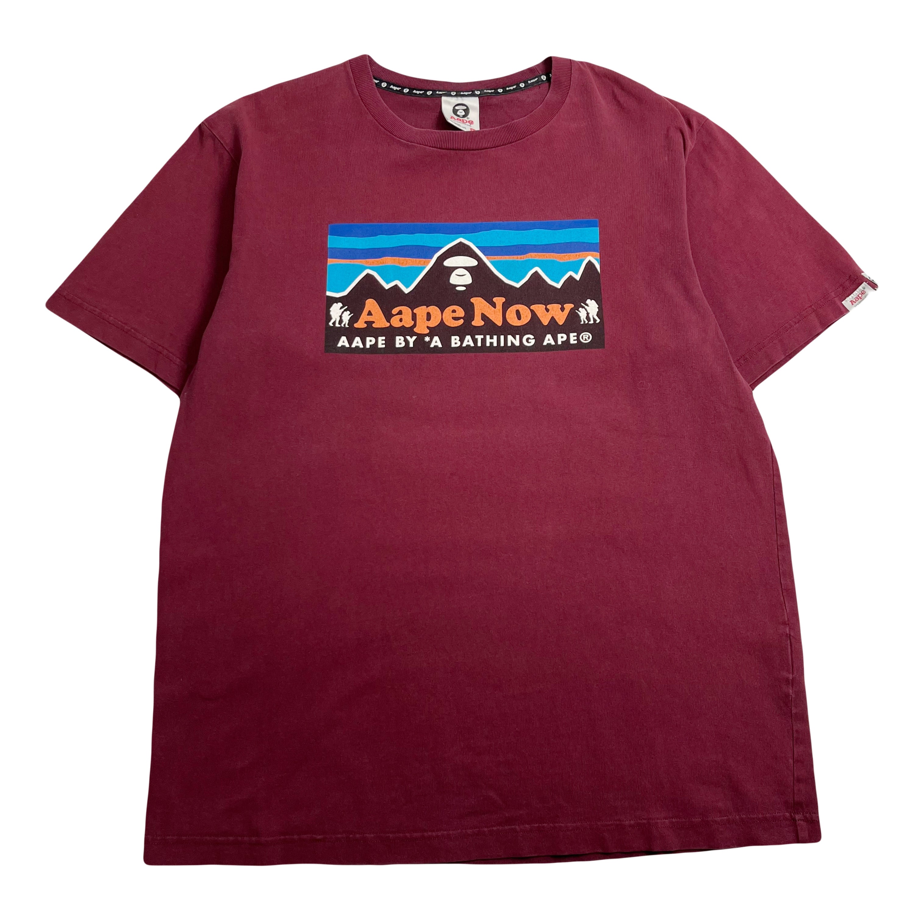 Vintage AAPE by A Bathing Ape Patagonia Graphic Tee XL