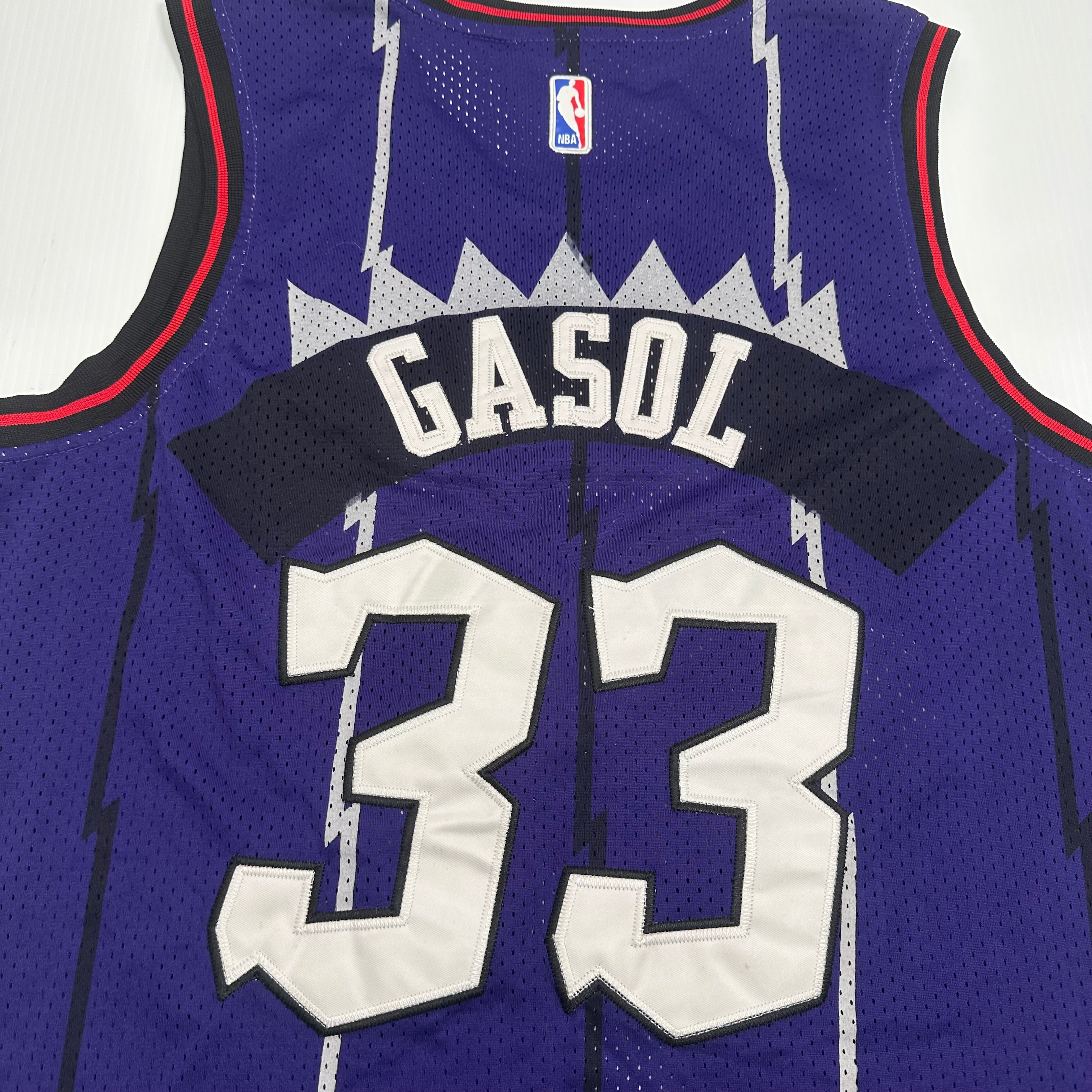Nike Toronto Raptors Marc Gasol Basketball Jersey L
