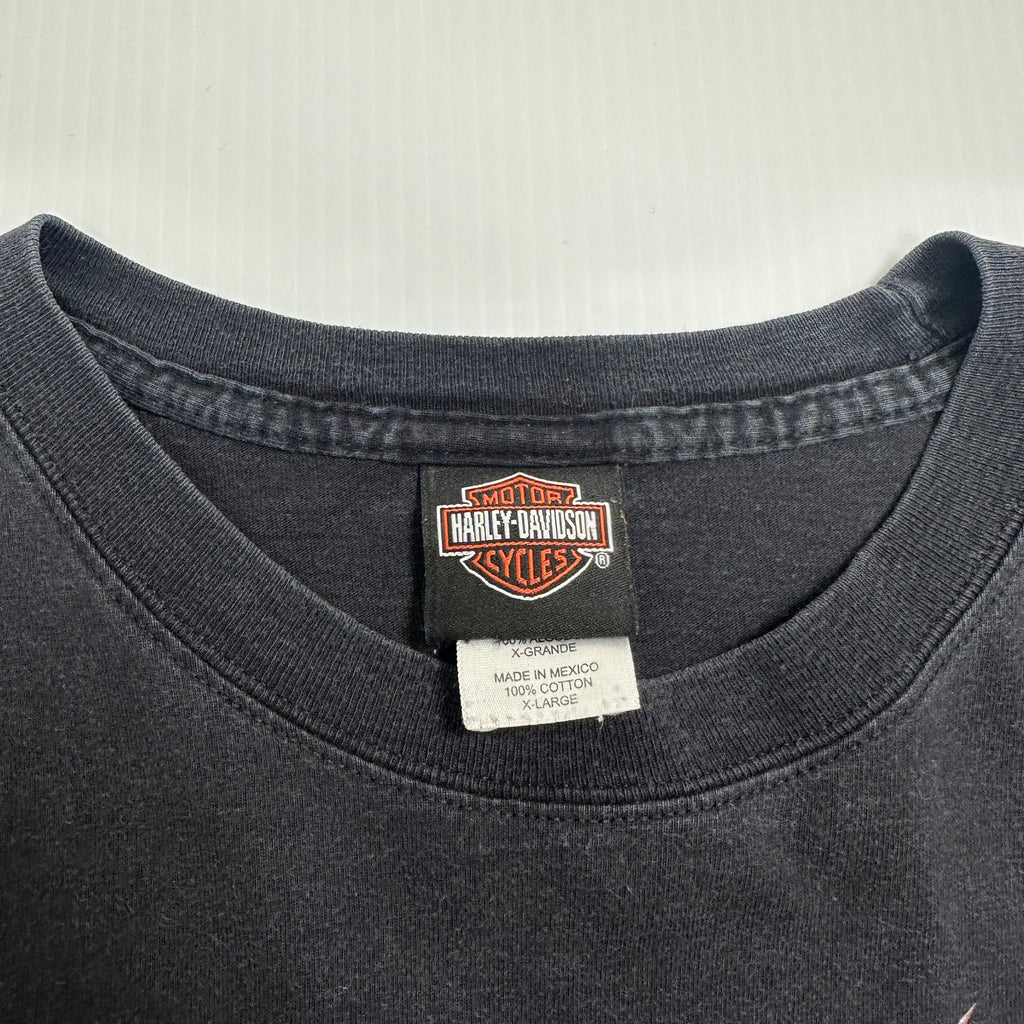Vintage Harley Davidson Texas Longsleeve Shirt XL