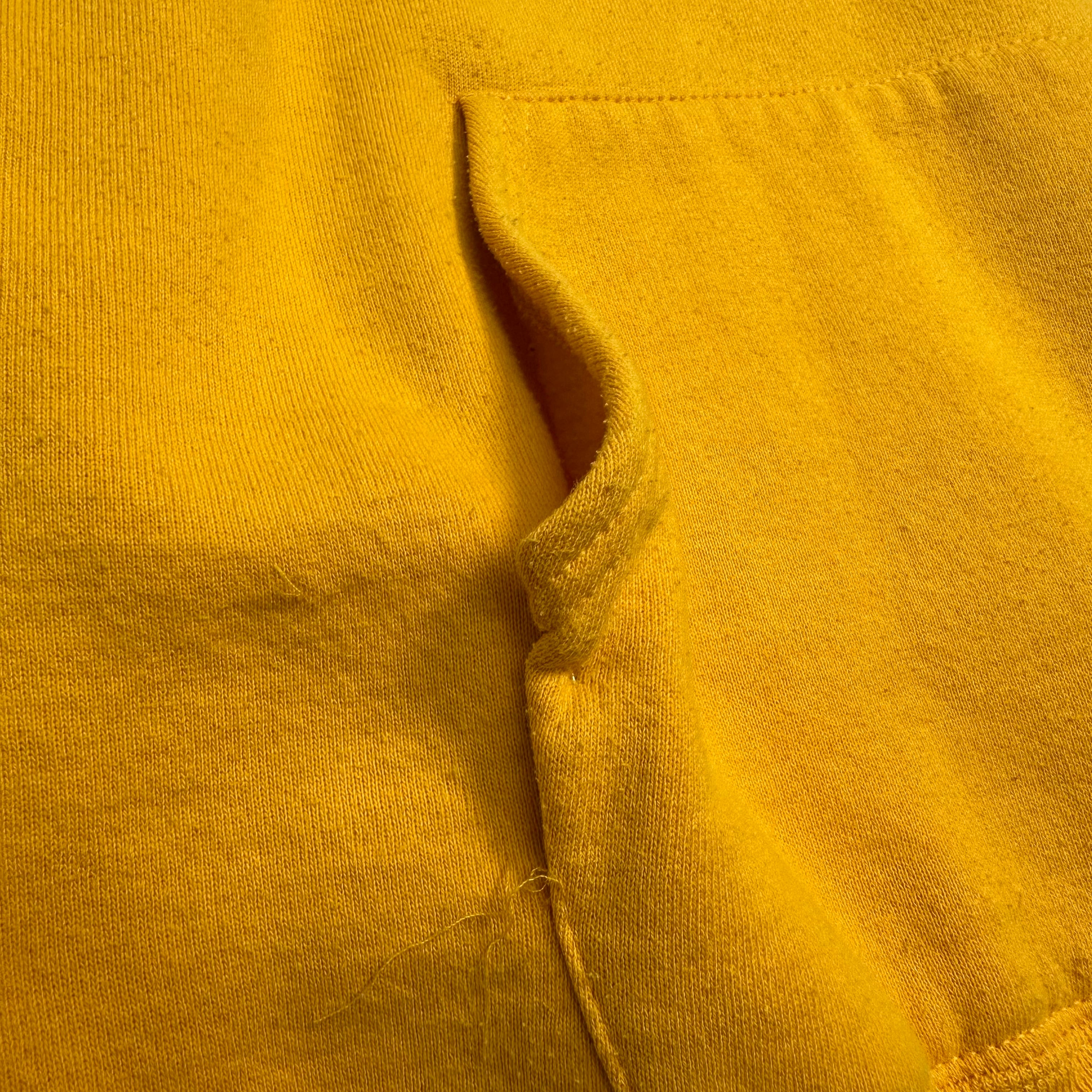 Vintage Russell Athletic Idaho Hoodie XL