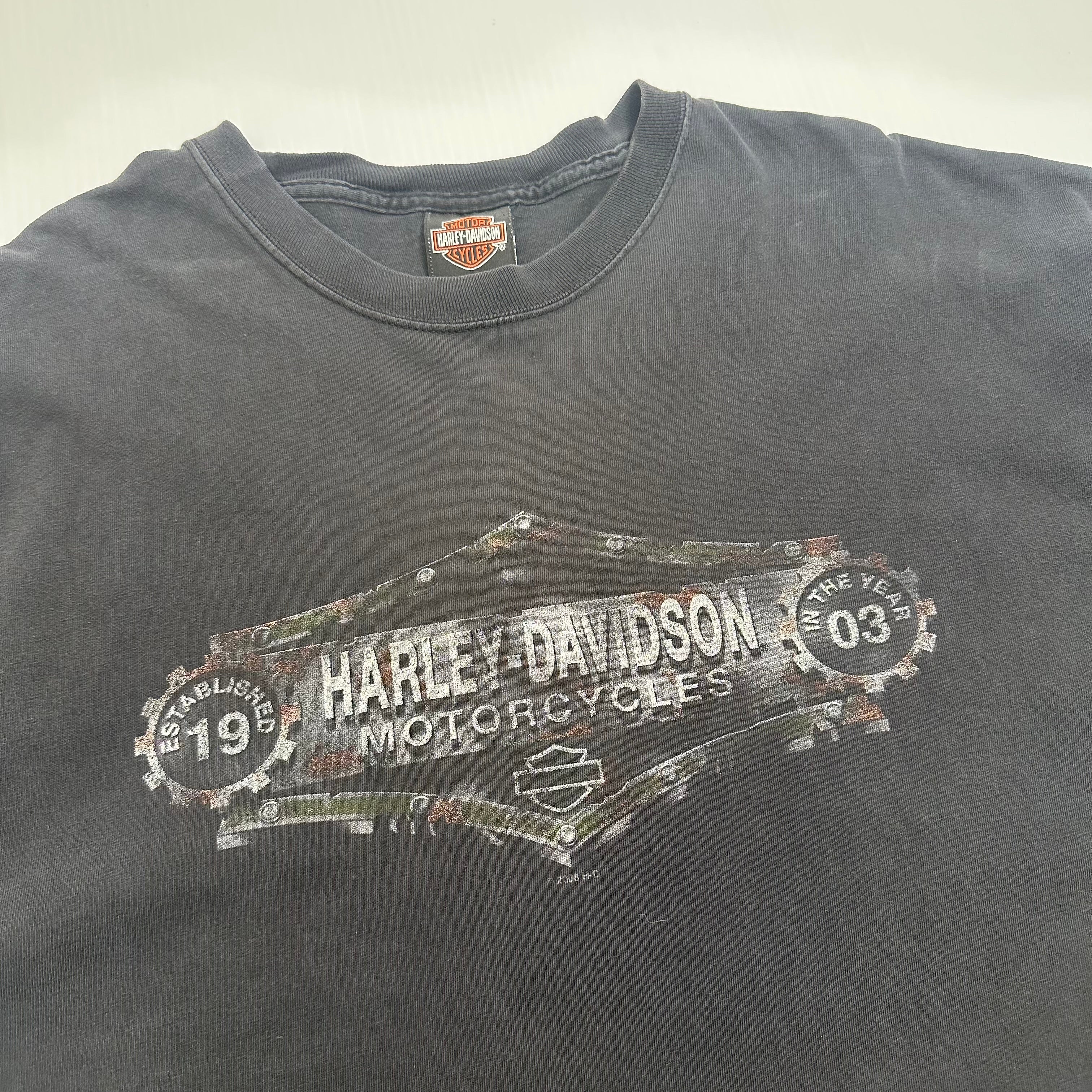 Harley Davidson Zion Utah Tee XXL