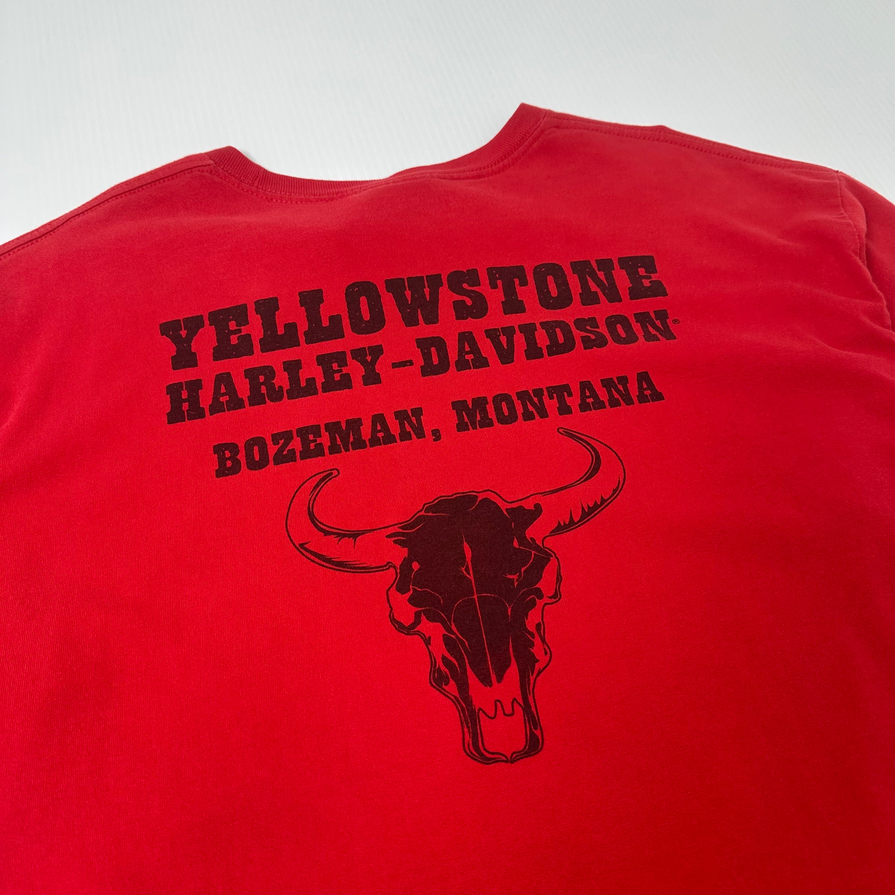 Harley Davidson Eagle Flame Montana Graphic Tee XL