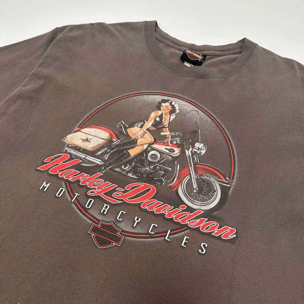 Harley Davidson Niagara Falls Graphic Tee XL