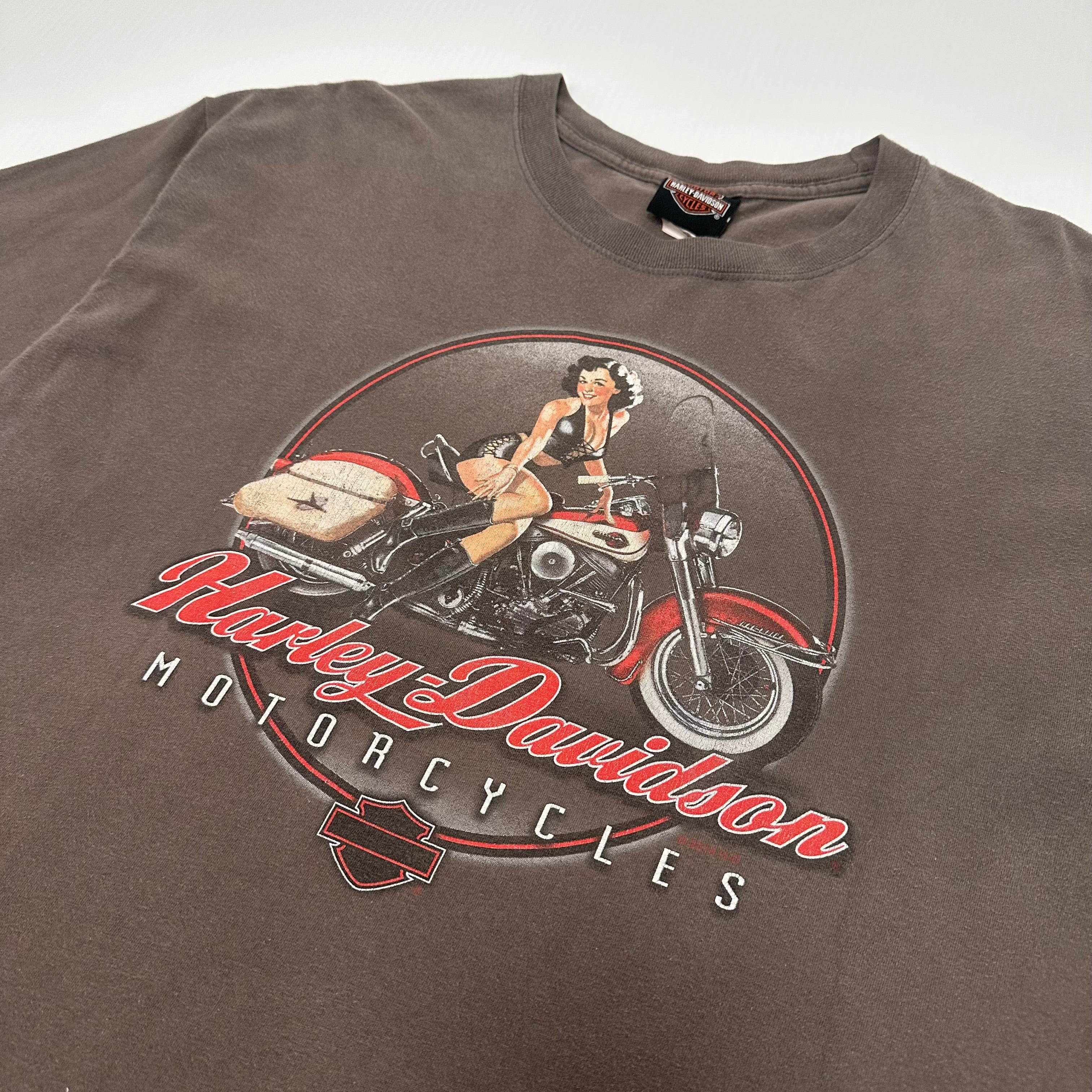Harley Davidson Niagara Falls Graphic Tee XL