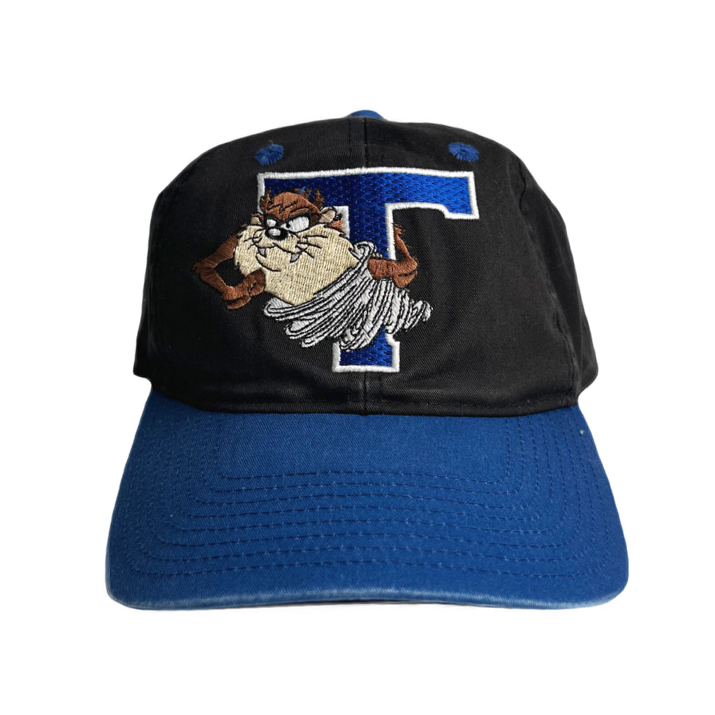 Vintage Looney Tunes Taz Snapback Hat