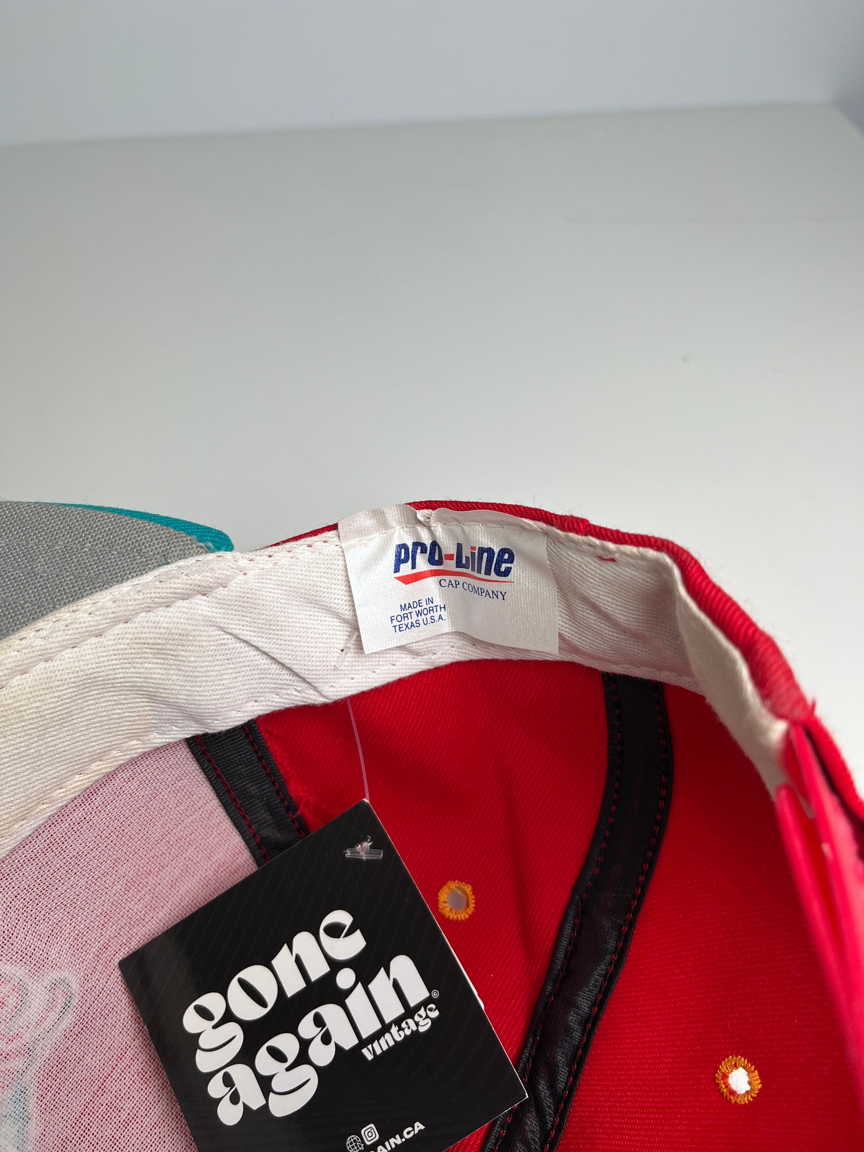 90s Detroit Vipers IHL Snapback