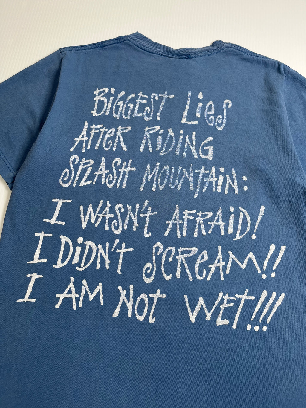 Vintage Disney Splash Mountain Tee M