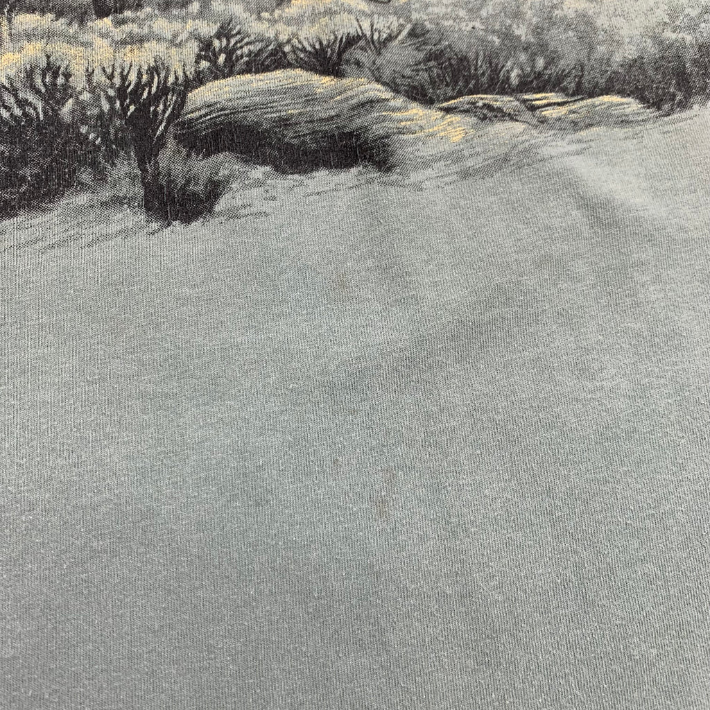Vintage Mount Up For Downs Western Tee XL