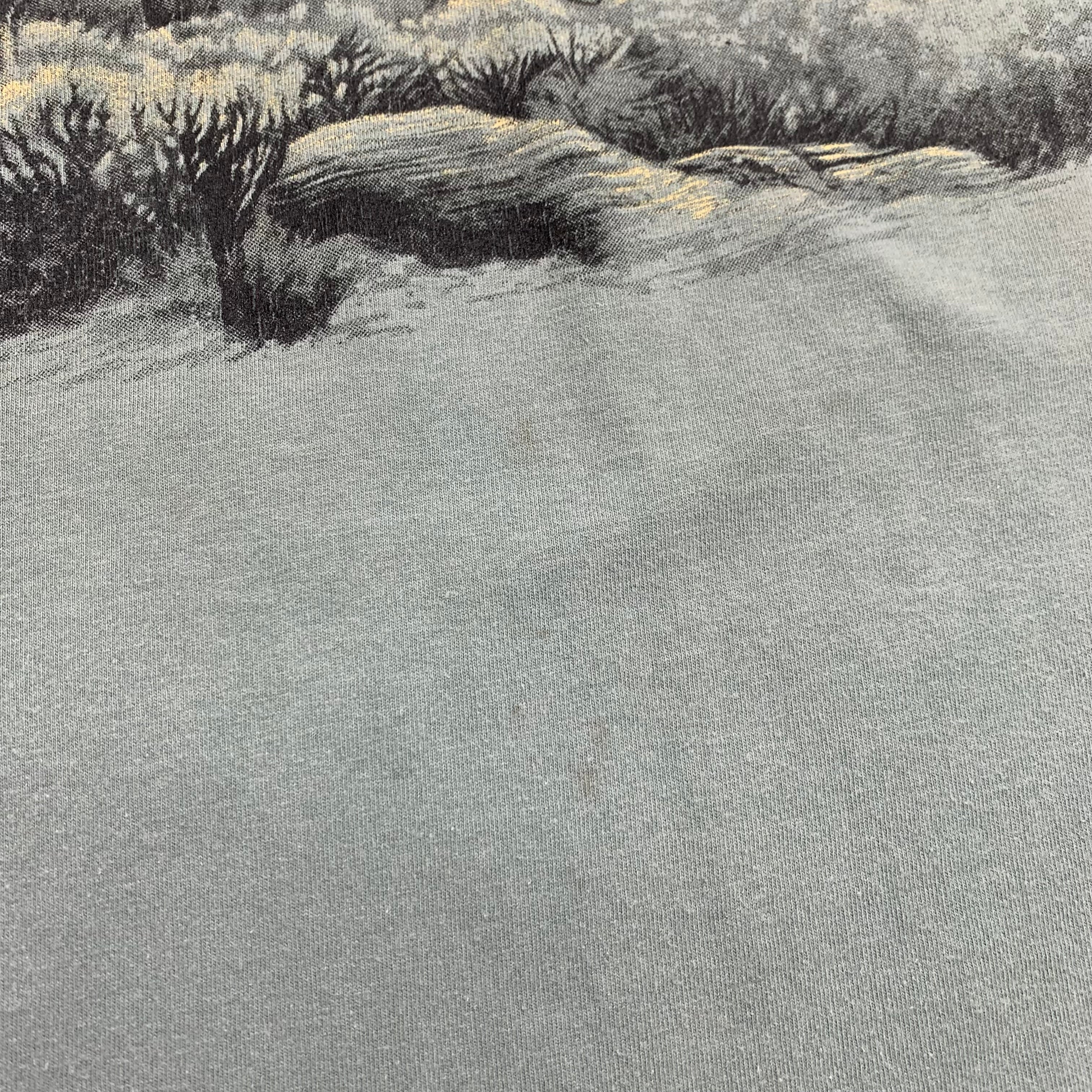 Vintage Mount Up For Downs Western Tee XL