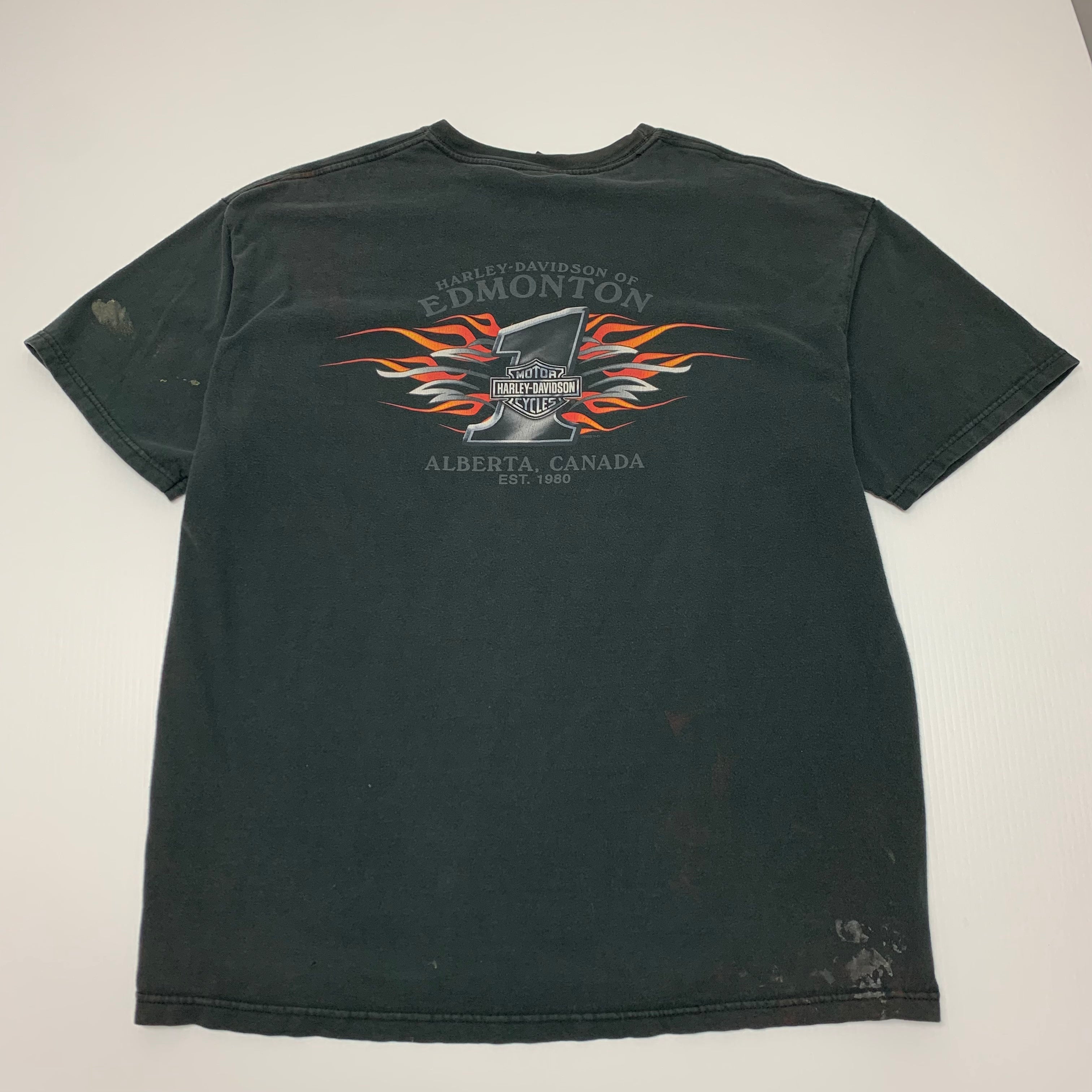 Harley Davidson If I Have to Explain tee XL