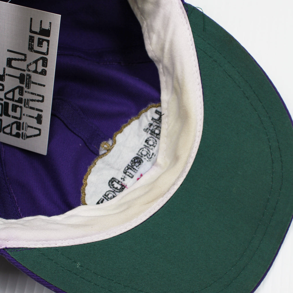 Vintage Haagen-Dazs Snapback Hat