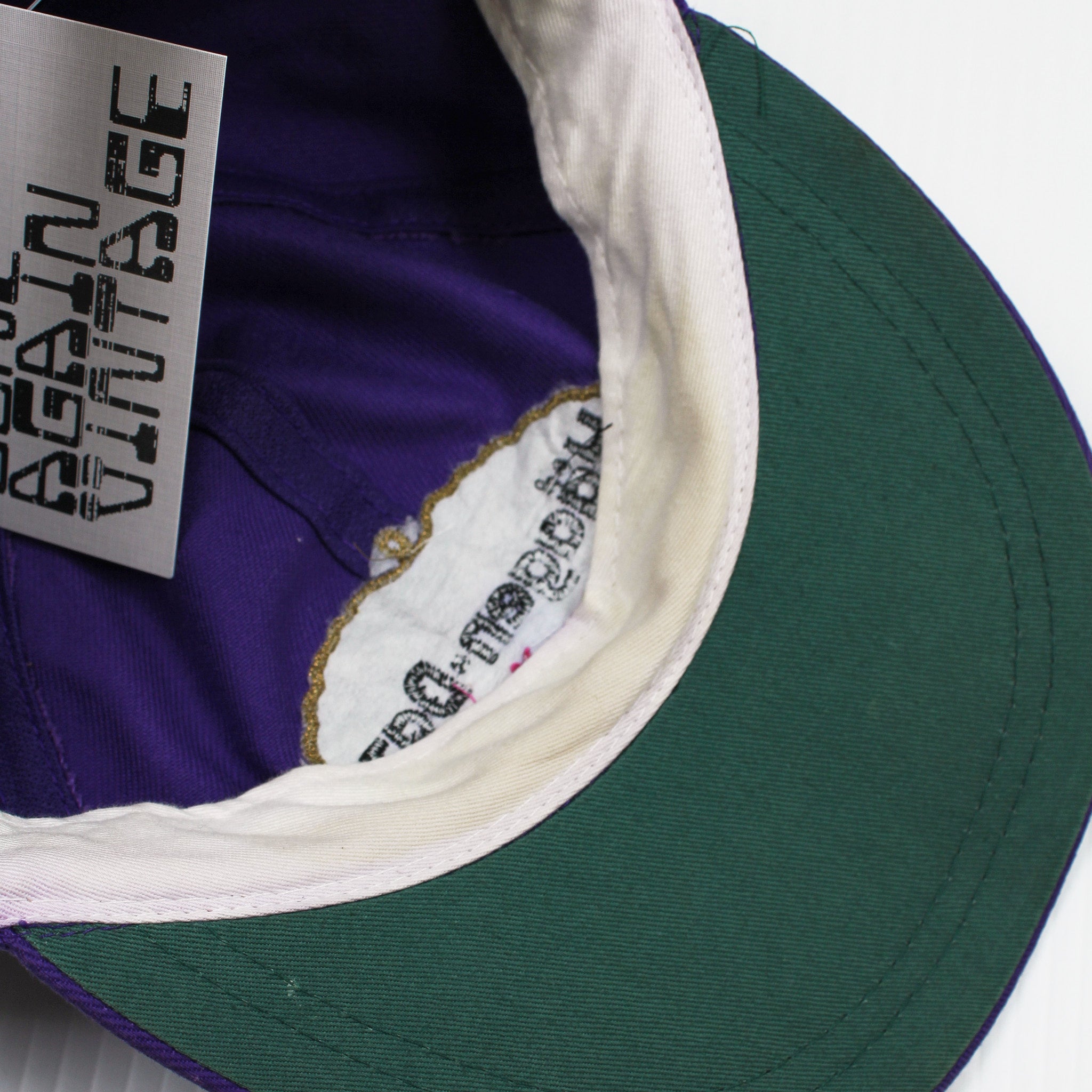 Vintage Haagen-Dazs Snapback Hat
