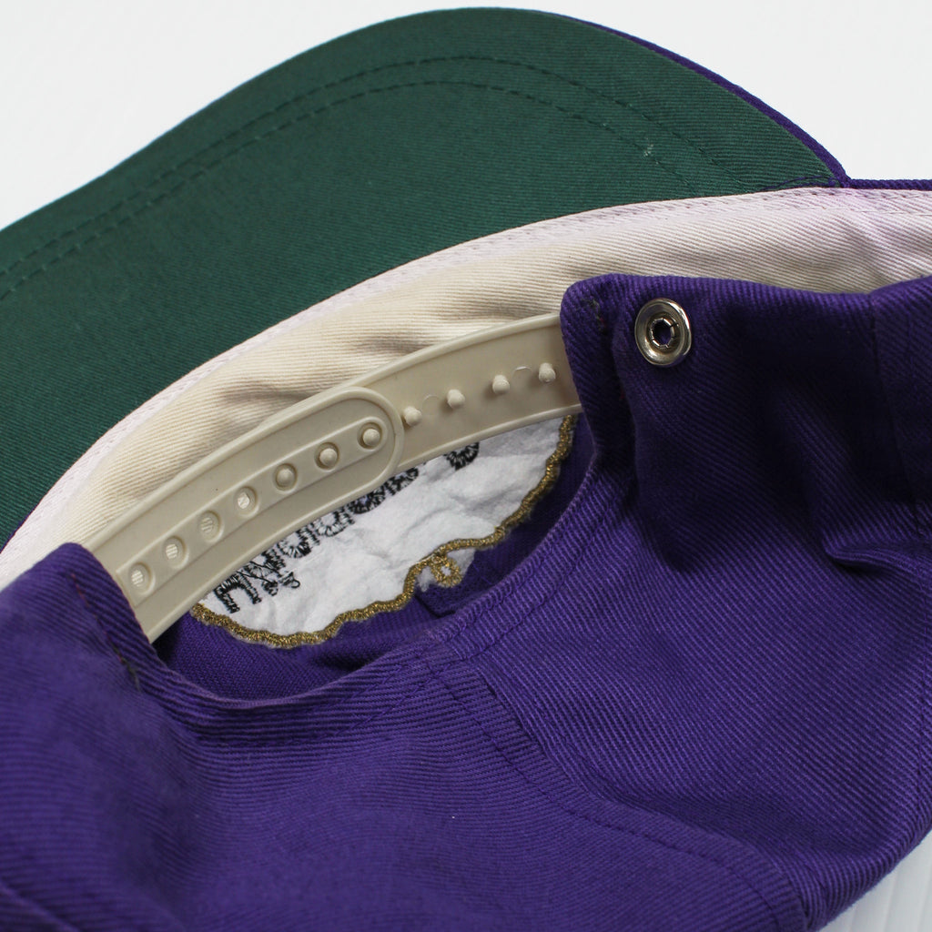 Vintage Haagen-Dazs Snapback Hat
