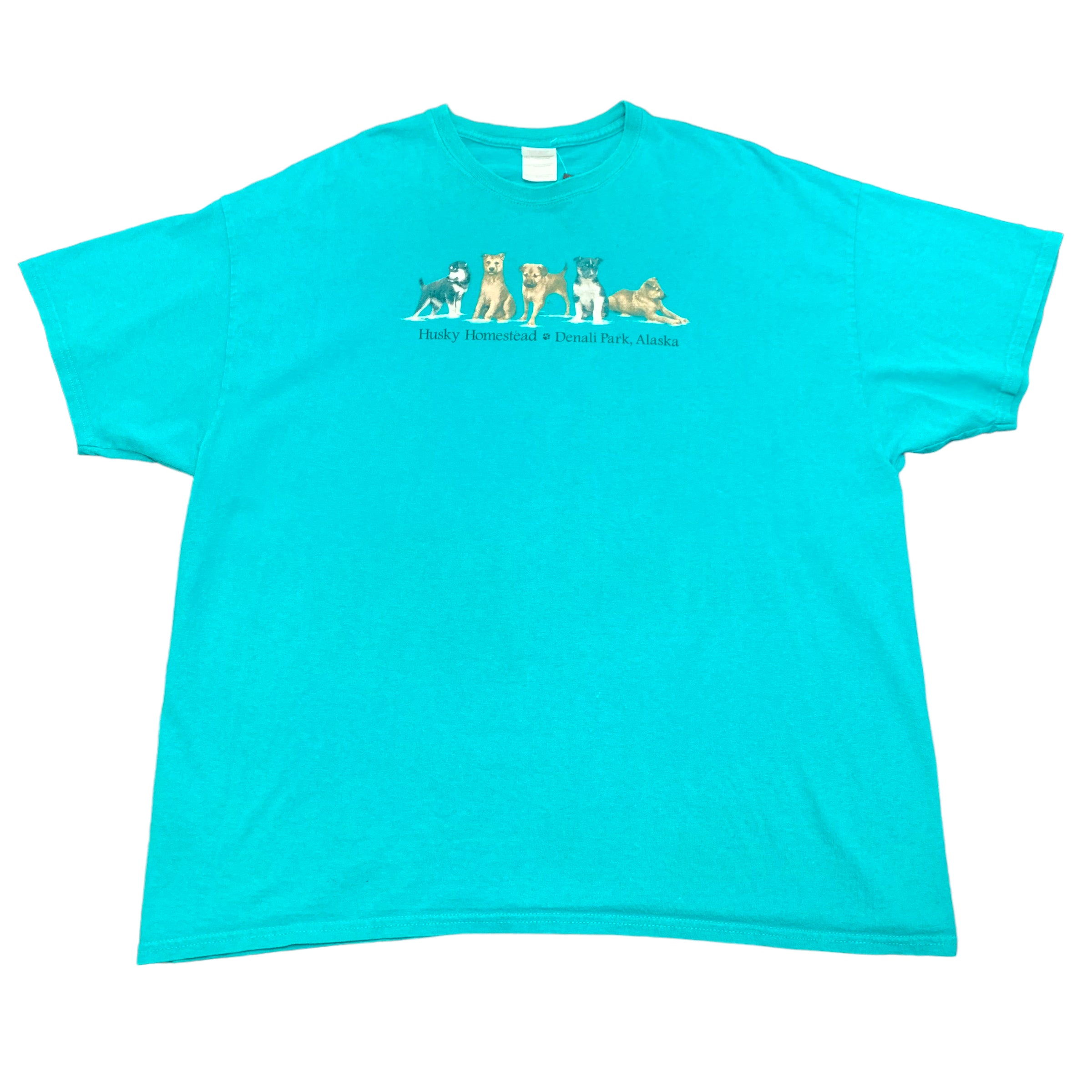 Y2K Alaska Huskies Tee 2XL
