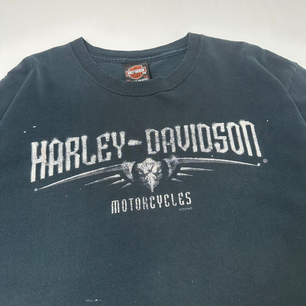 2006 Harley-Davidson Niagara Falls Graphic T-Shirt XL