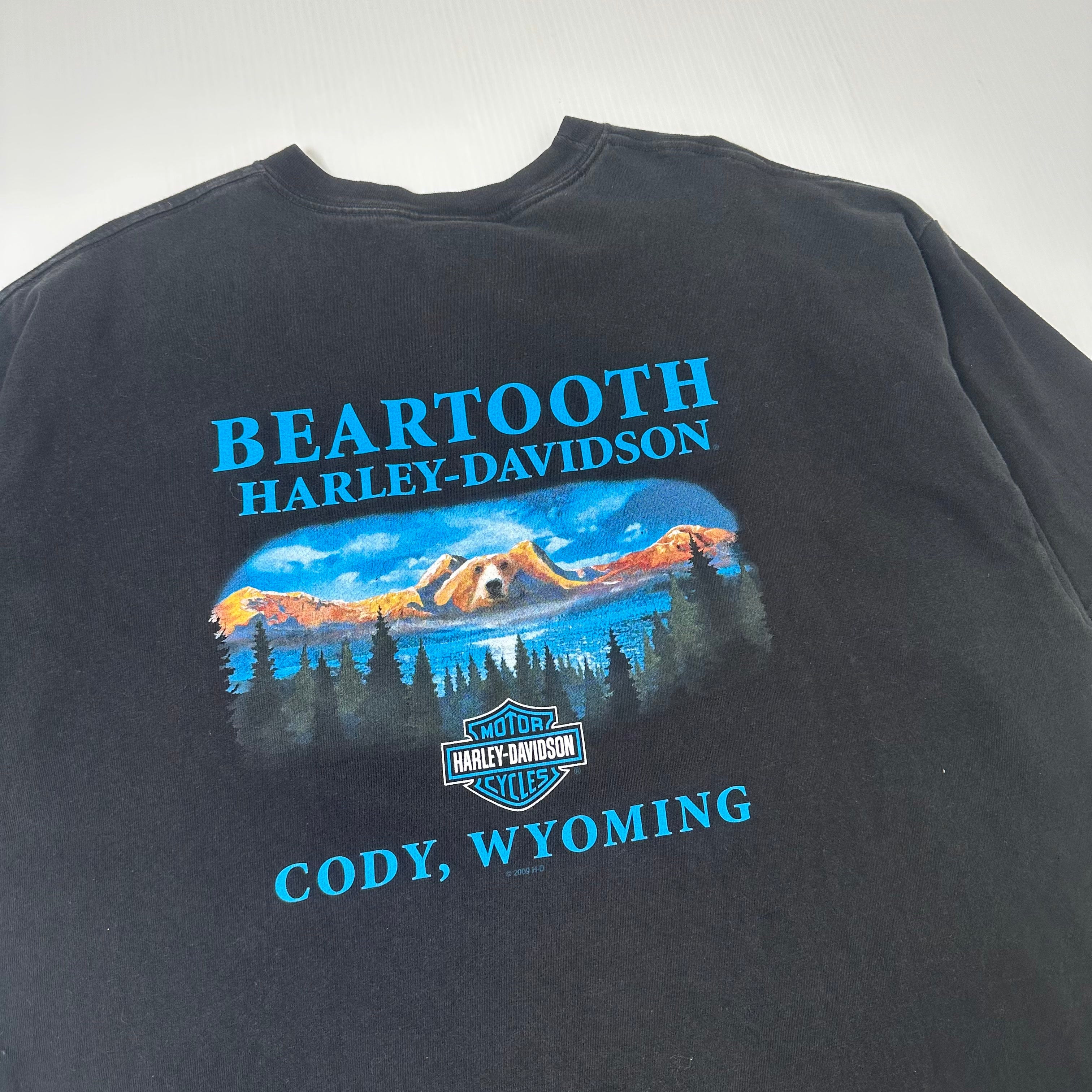 2009 Harley Davidson Beartooth Wyoming Eagle Graphic Tee XXL