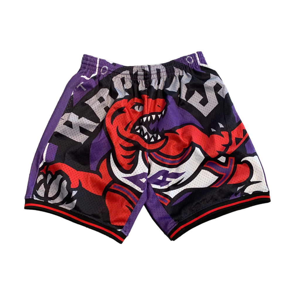 Toronto Raptors AOP Shorts M
