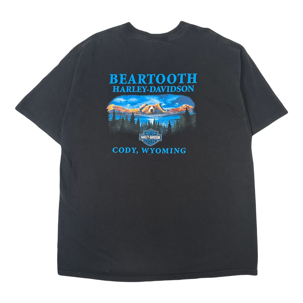 2009 Harley Davidson Beartooth Wyoming Eagle Graphic Tee XXL