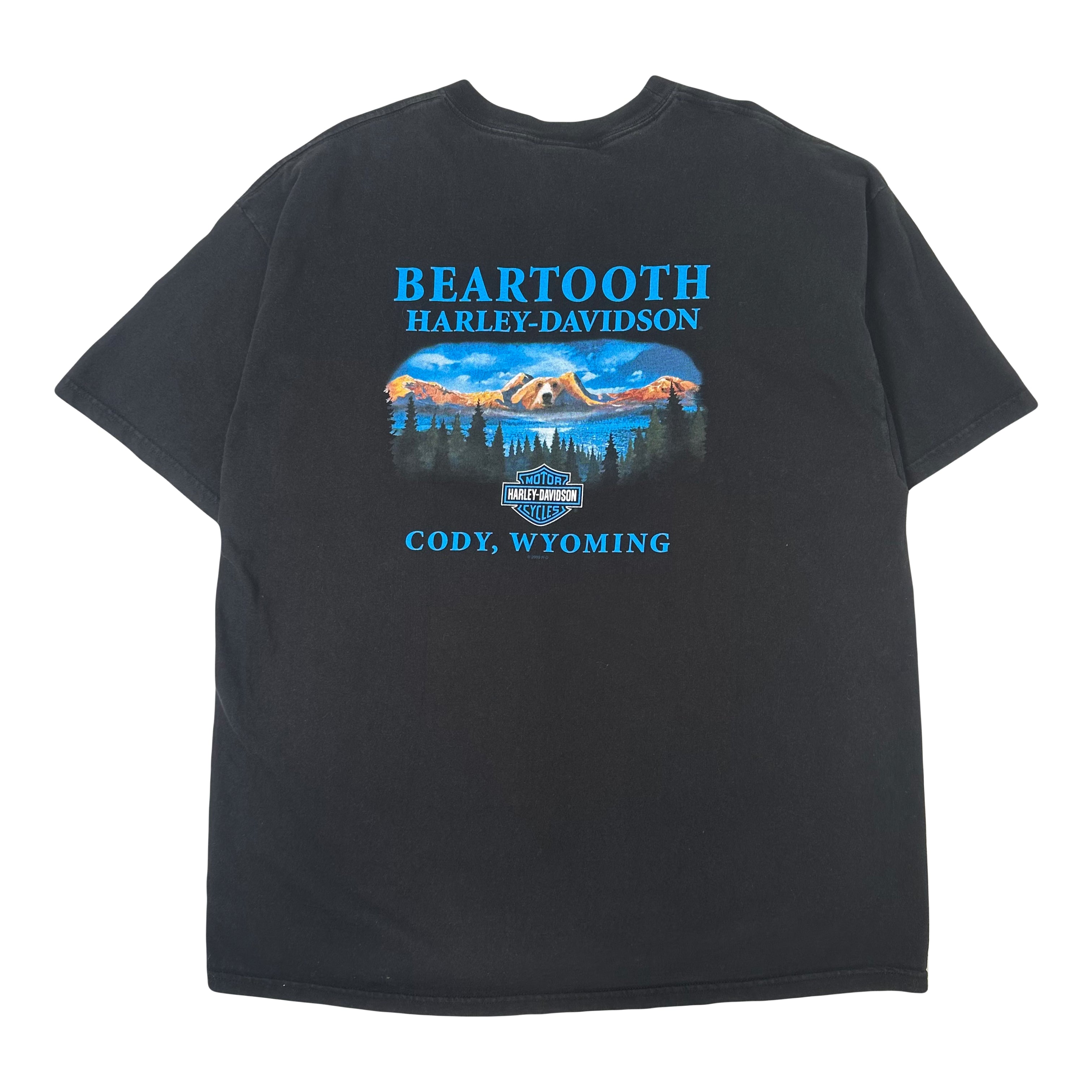 2009 Harley Davidson Beartooth Wyoming Eagle Graphic Tee XXL