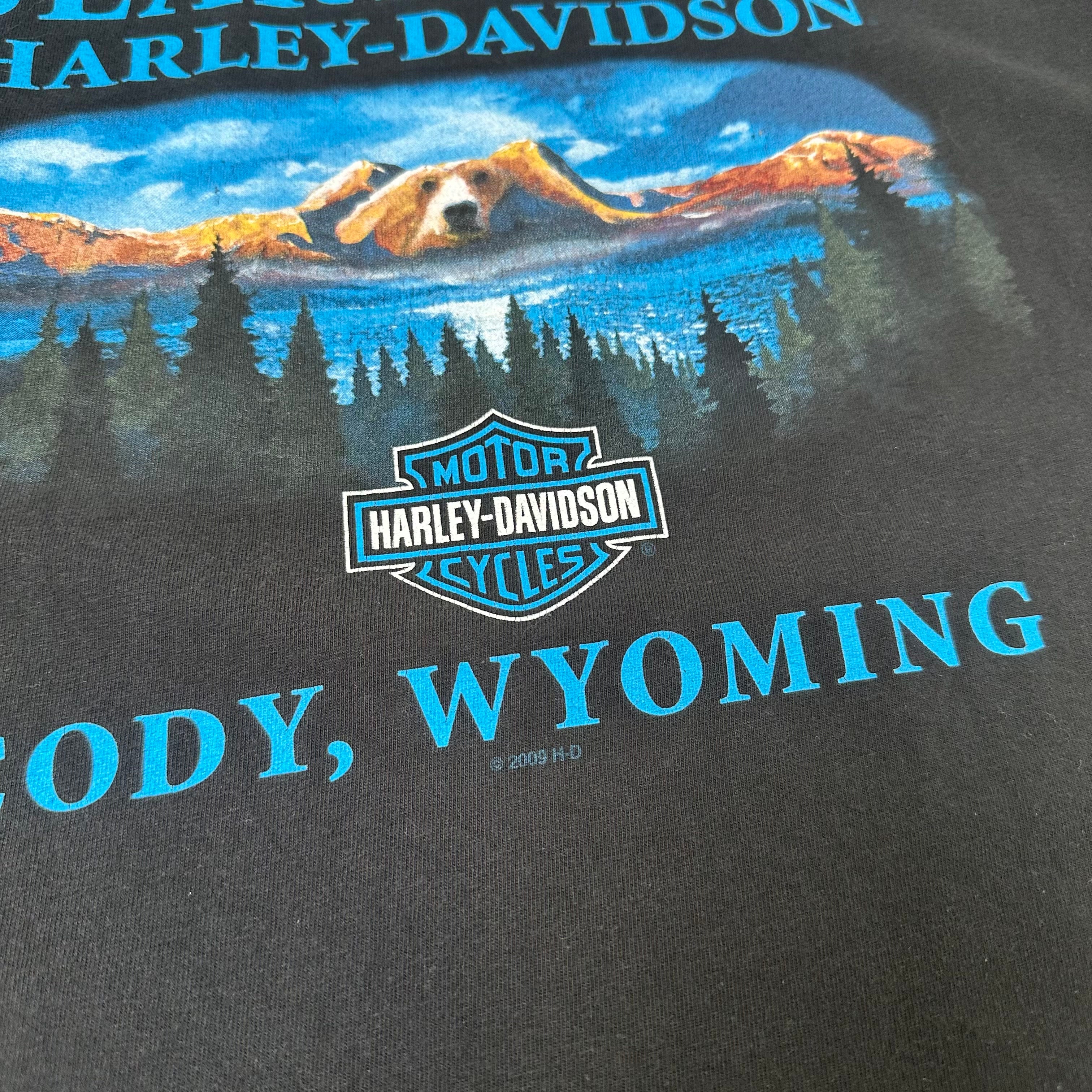 2009 Harley Davidson Beartooth Wyoming Eagle Graphic Tee XXL