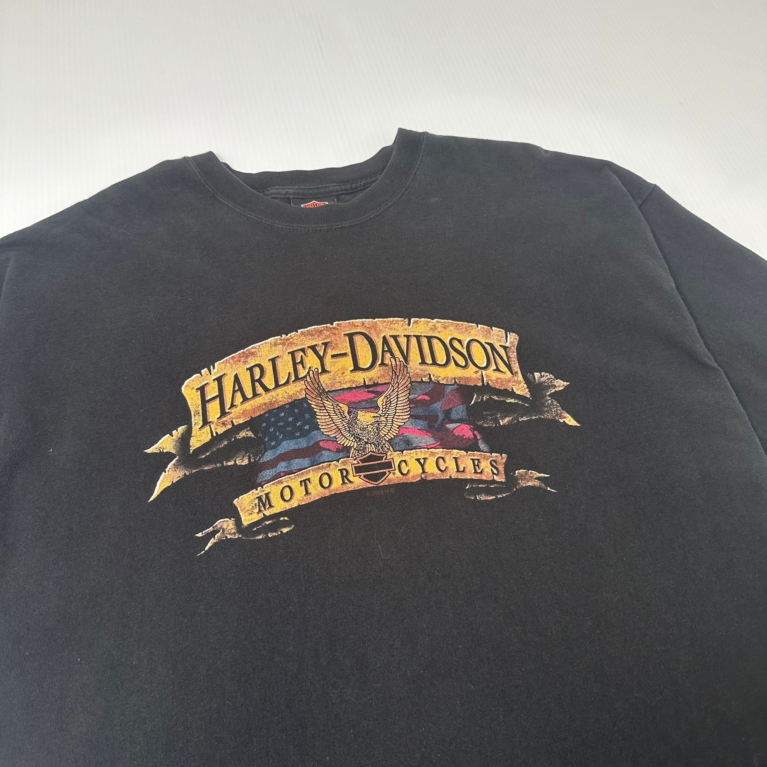 2009 Harley Davidson Beartooth Wyoming Eagle Graphic Tee XXL