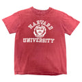 Vintage Harvard Tee M