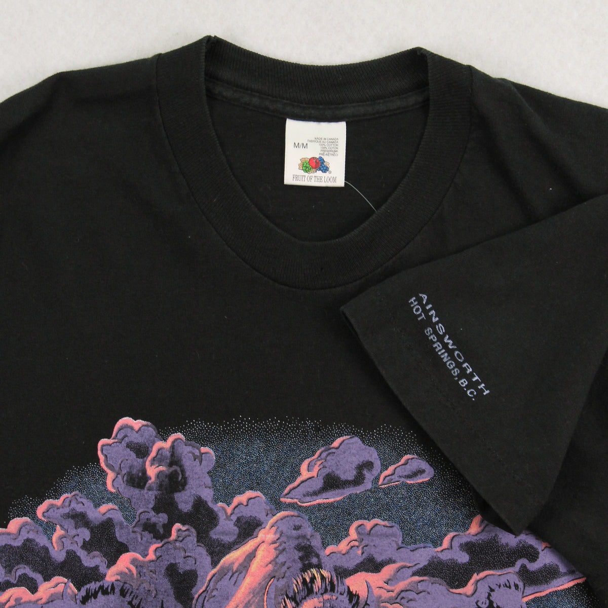 90s Buffalo Skyline Nature Tee M