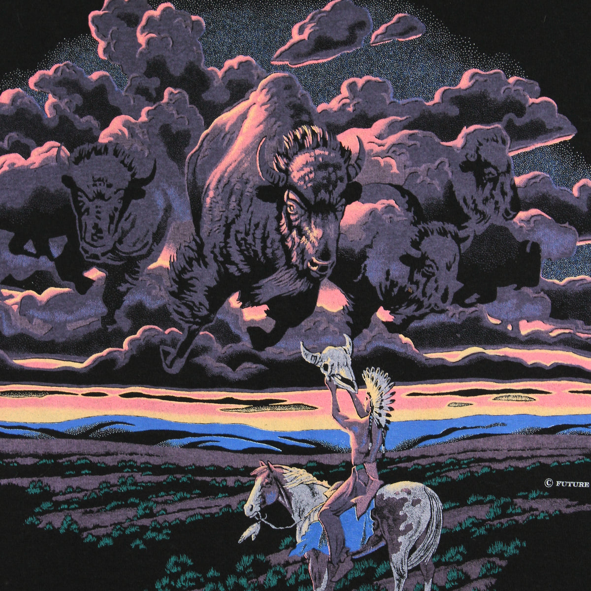 90s Buffalo Skyline Nature Tee M