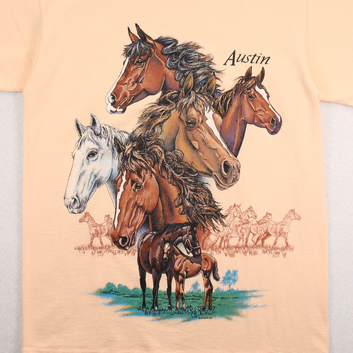 90s Austin Horses Graphic Tee M