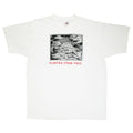 1987 Ray Troll 'Humpies From Hell' tee XL