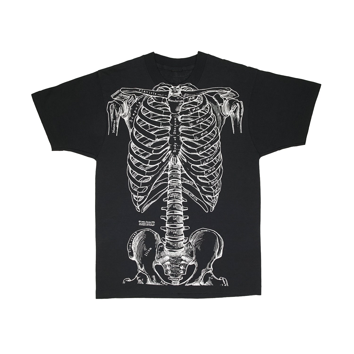 Vintage Leslie Arwin skeletal anatomy tee M