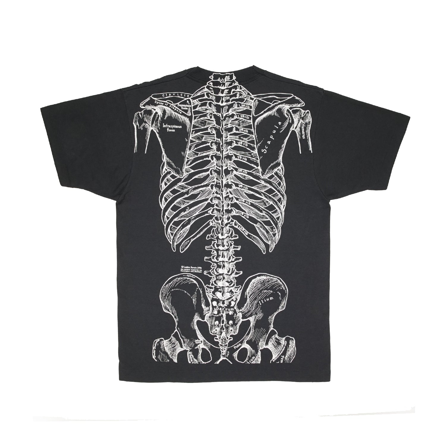 Vintage Leslie Arwin skeletal anatomy tee M