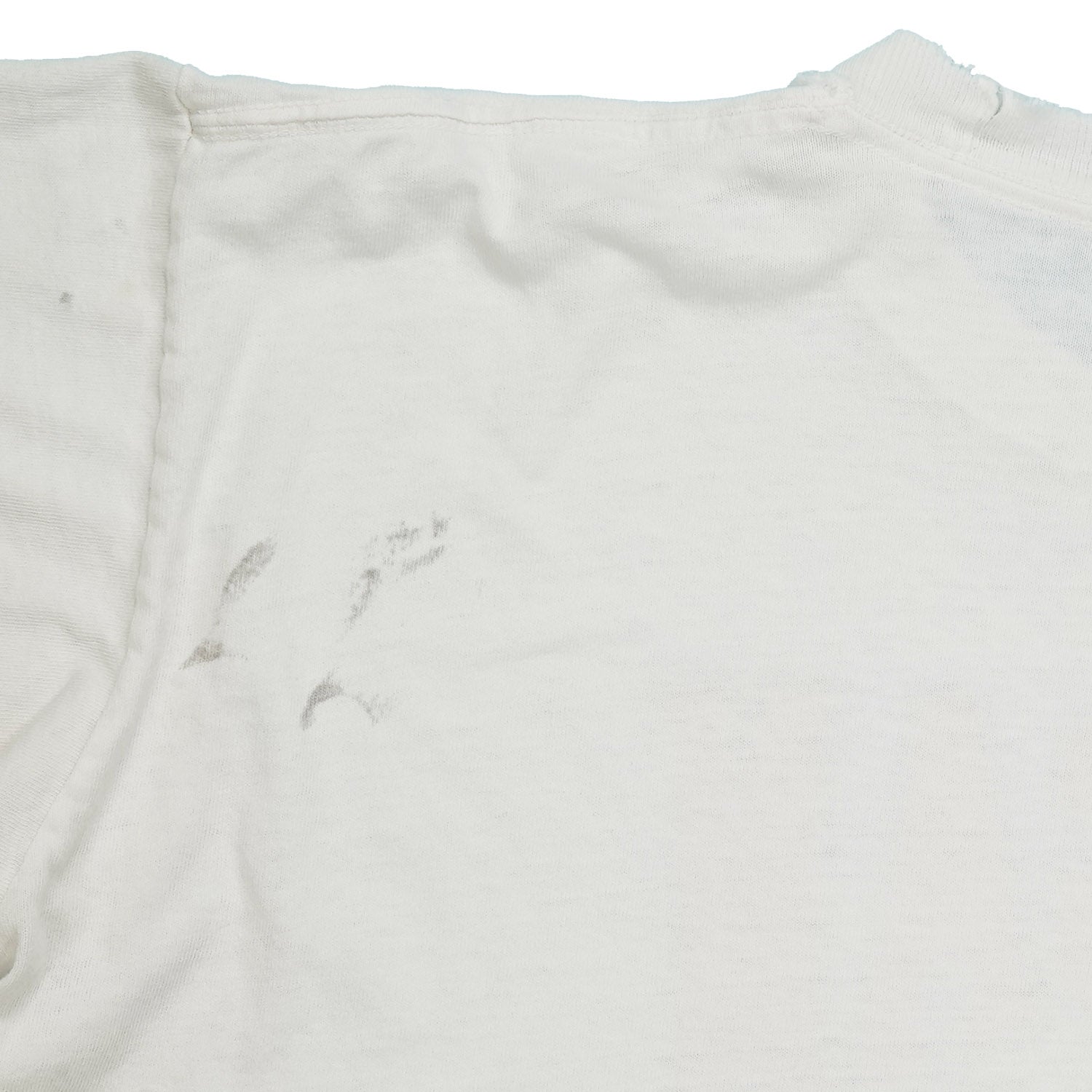 1989 Michigan National Basketball Champs distressed tee L