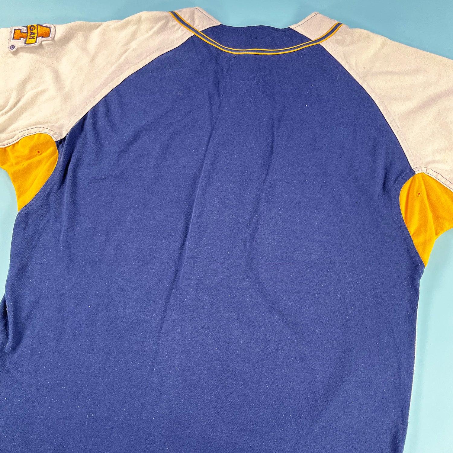 Vintage Michigan Wolverines Starter button up jersey L