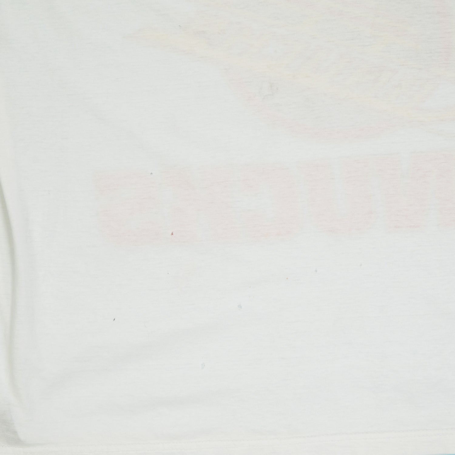 '90s Vancouver Canucks distressed NHL tee L