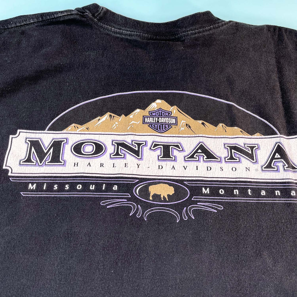 2000 Harley Davidson Montana tee L