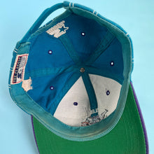 Load image into Gallery viewer, Charlotte Hornets pinstripe Starter snapback
