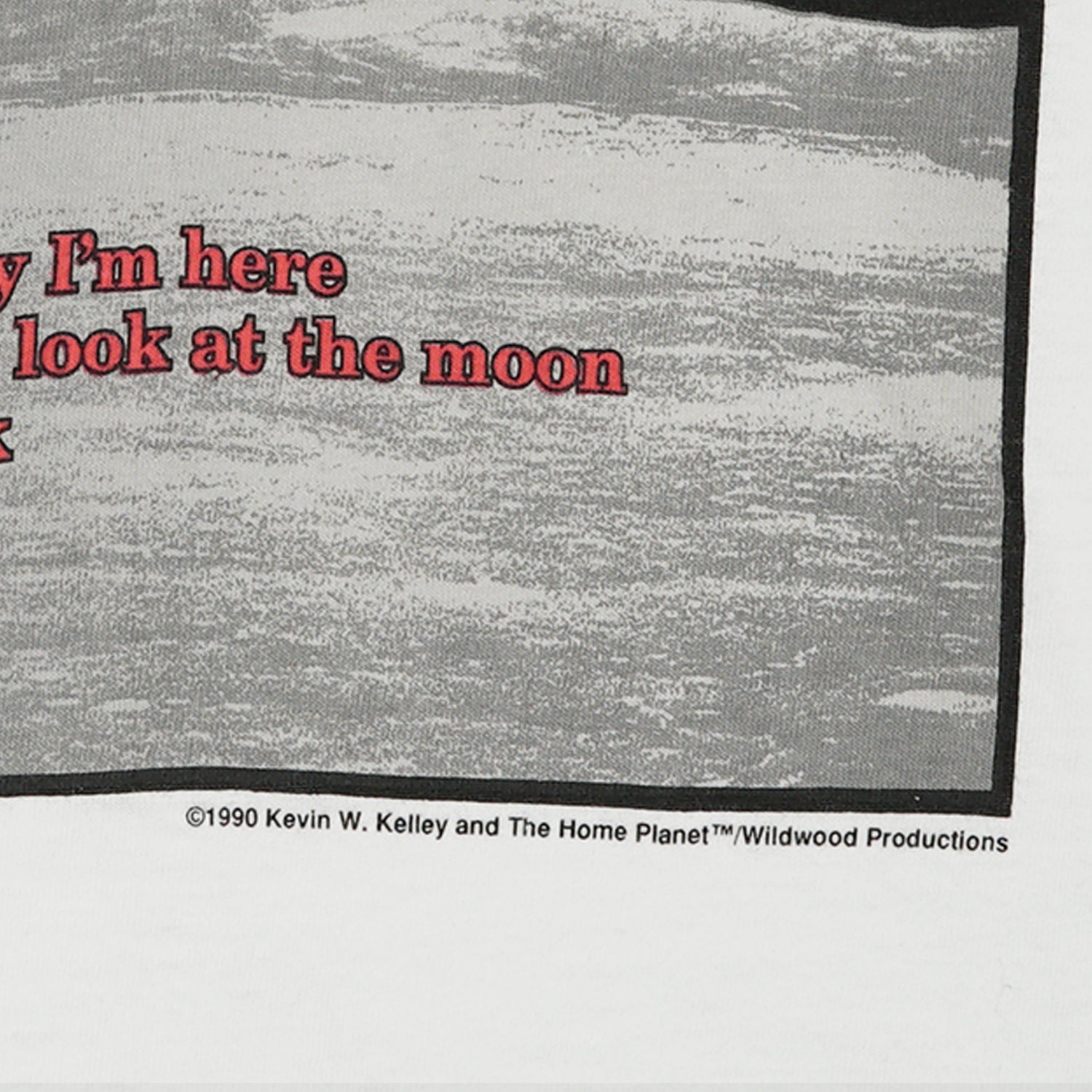 1990 The Home Planet space tee L