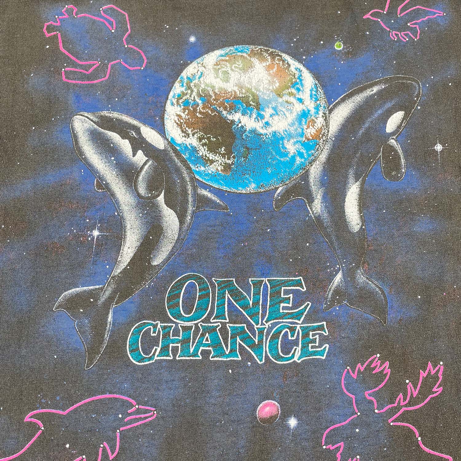 '90s One Earth faded nature tee M