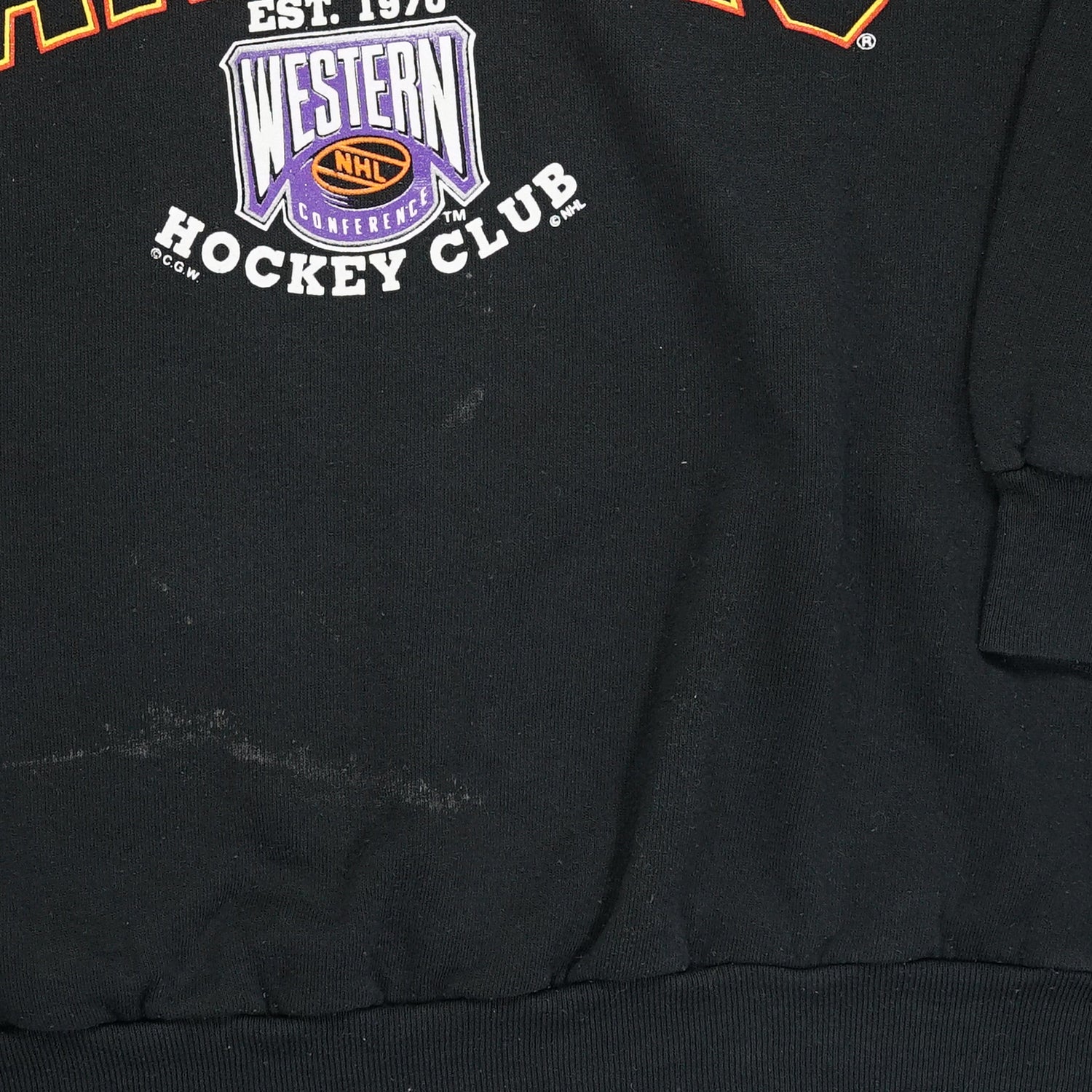 '90s Vancouver Canucks Western Conference crewneck L