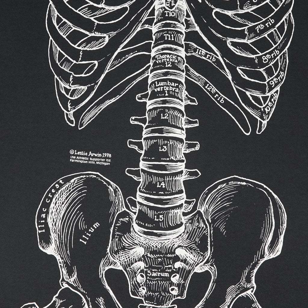 Vintage Leslie Arwin skeletal anatomy tee M